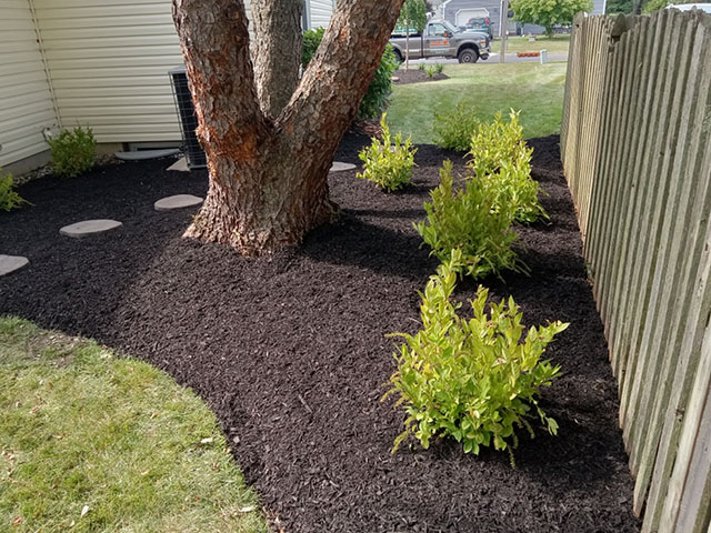 santini landscaping image