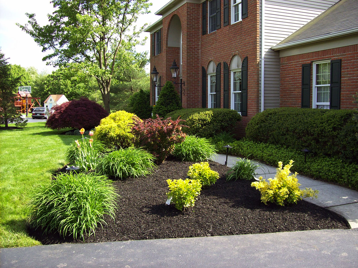 santini landscaping image