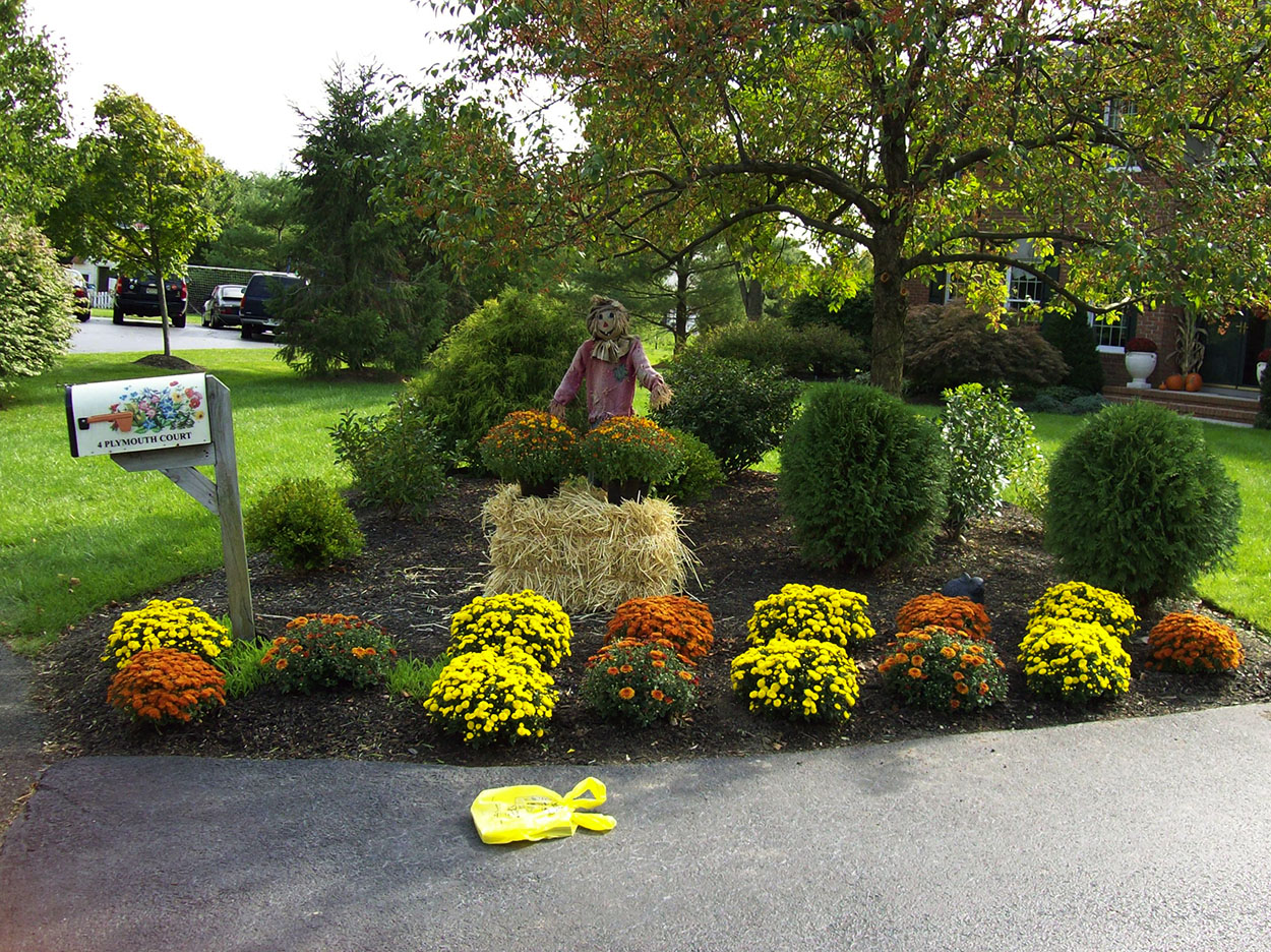 santini landscaping image