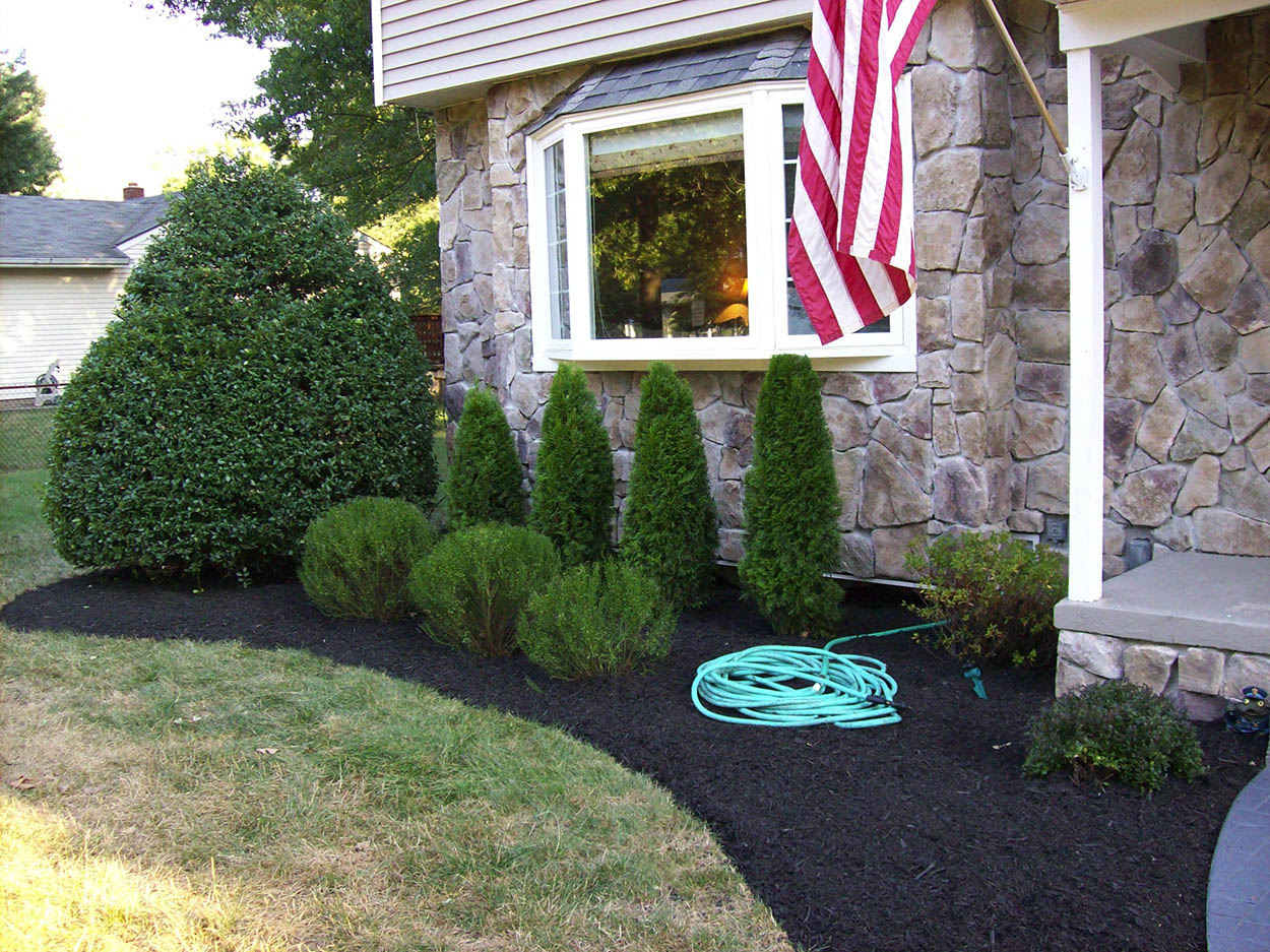 santini landscaping image