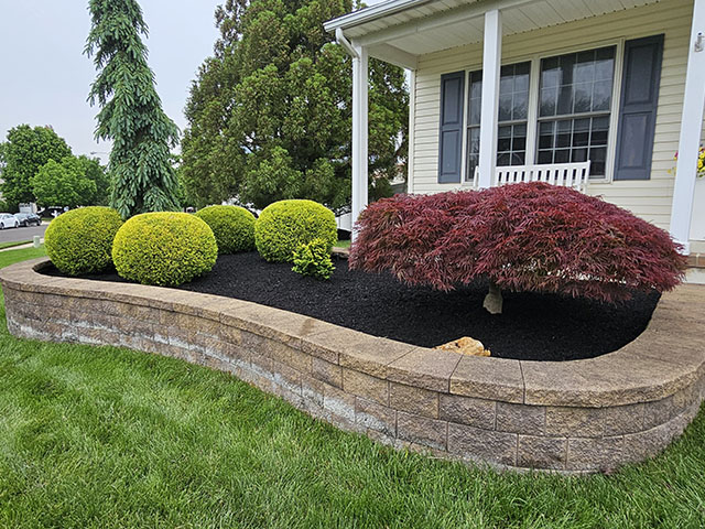 santini landscaping image