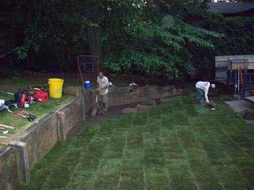 quick lawn sod